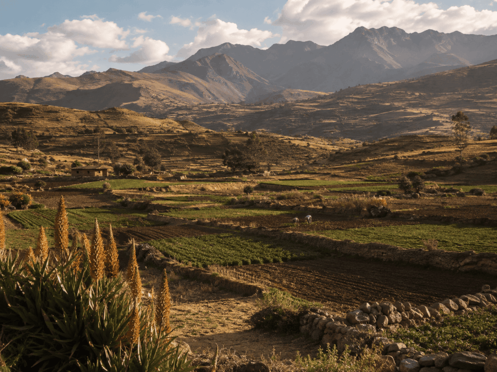 territorio